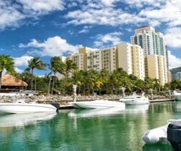 Miami: Guided City Tour + Biscayne Bay Cruise + Dolphin Mall Visit + Transfers